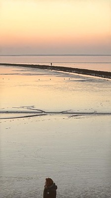 Foto 4 Ferienwohnung Ostfriesland Dornum & Umgebung Ferienwohnung Zwergpinscher (Objekt 85239) Urlaub