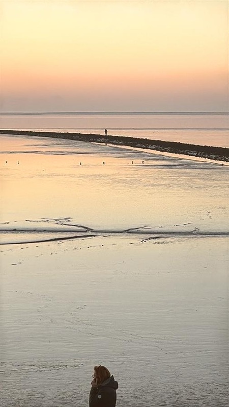 Foto 4 Ferienwohnung Ostfriesland Dornum & Umgebung Ferienwohnung Zwergpinscher (Objekt 85239) Urlaub