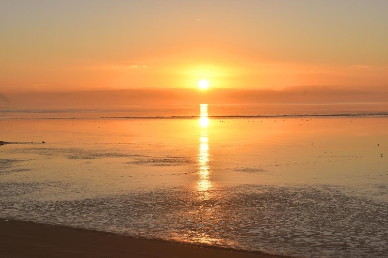 Foto 2 Ferienwohnung Ostfriesland Dornum & Umgebung Ferienwohnung Zwergpinscher (Objekt 85239) suchen