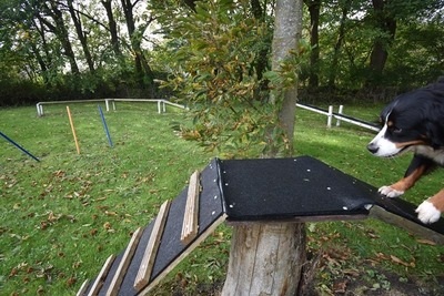 Foto 9 Ferienwohnung Ostfriesland Dornum & Umgebung Ferienwohnung Zwergpinscher (Objekt 85239) Urlaub