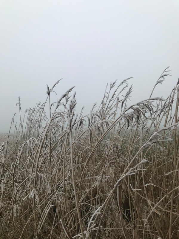 Foto 11 Ferienhaus Ostfriesland Krummhörn & Umgebung Luetje-Huuske (Objekt 92456) buchen