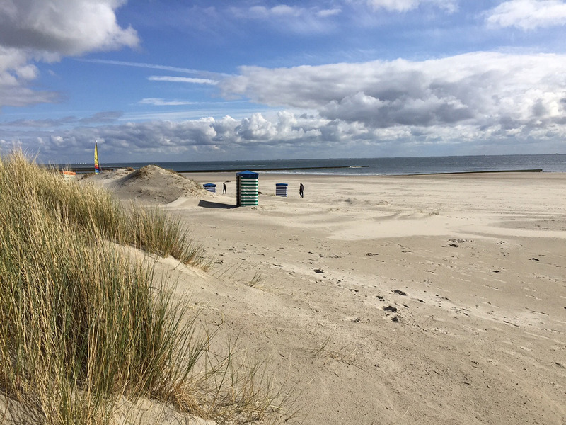 Foto 4 Ferienwohnung Ostfriesland Borkum Augenstern in der Villa Patricia (Objekt 85265) Urlaub