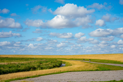 Foto 22 Ferienhaus Ostfriesland Krummhörn & Umgebung Haus Leysand - Ostfriesische Gemütlichkeit (Objekt 85221) suchen