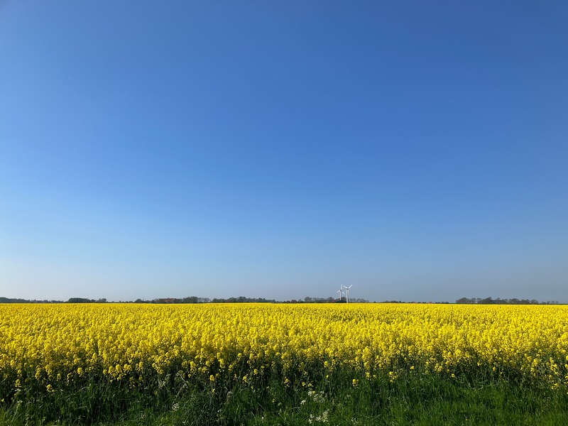 Foto 27 Ferienhaus Ostfriesland Dornum & Umgebung Haus Lüsthuuske (Objekt 85236) suchen