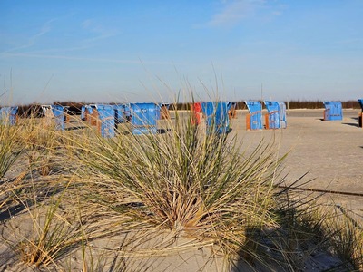 Foto 18 Ferienwohnung Ostfriesland Norddeich & Umgebung Ferienwohnung Düne 1 (Objekt 91883) Nordsee