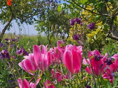 Foto 22 Ferienwohnung Ostfriesland Norddeich & Umgebung Ferienwohnung Düne 1 (Objekt 91883) suchen
