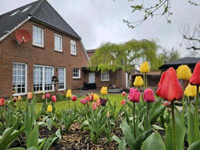 Foto 18 Ferienwohnung Ostfriesland Norddeich & Umgebung Ferienwohnung Kajüte 4 (Objekt 100560) Nordsee