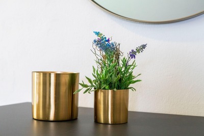 Foto 9 Ferienhaus Ostfriesland Norddeich & Umgebung Ferienhaus Larinae (Objekt 85193) Urlaub