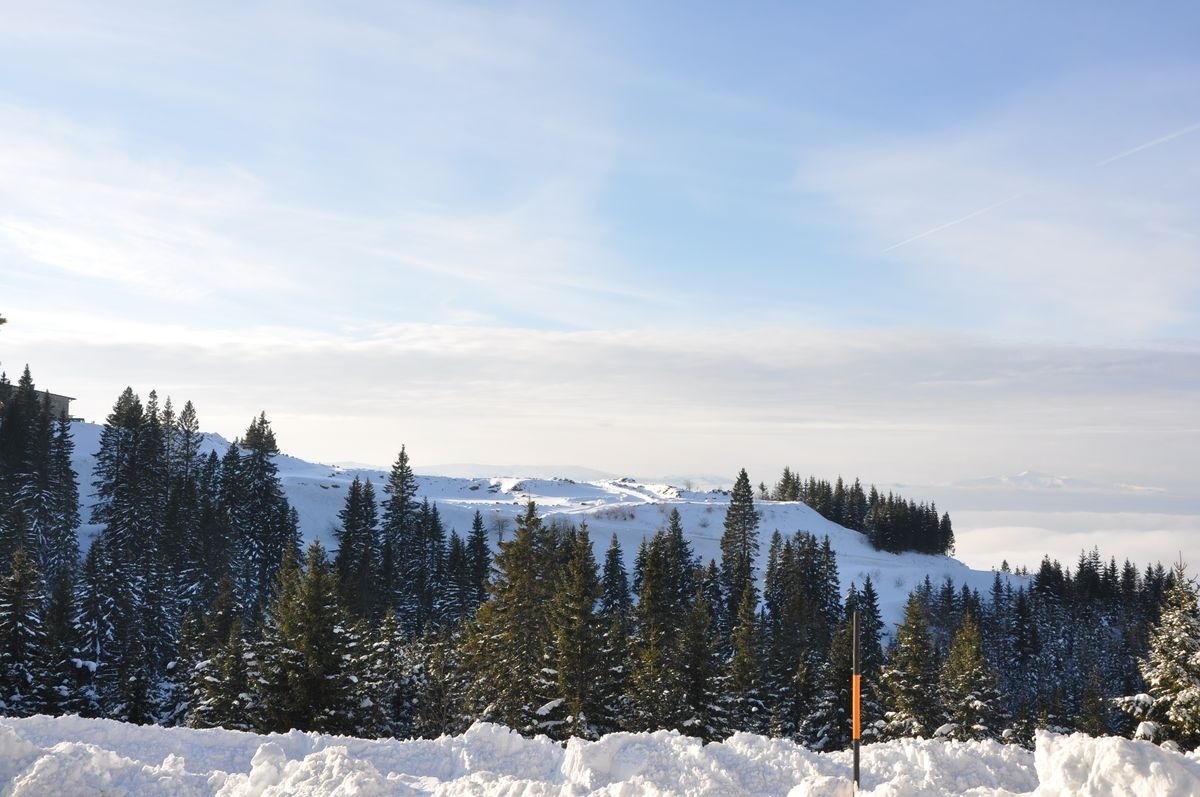 Almliebe-Feriendorf Koralpe — Foto 11