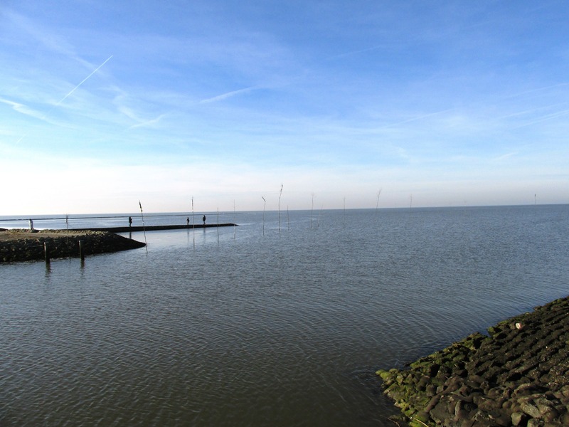 Foto 18 Ferienhaus Ostfriesland Zwischen Elbe und Weser Albatros-Herber (Objekt 85233) Nordsee