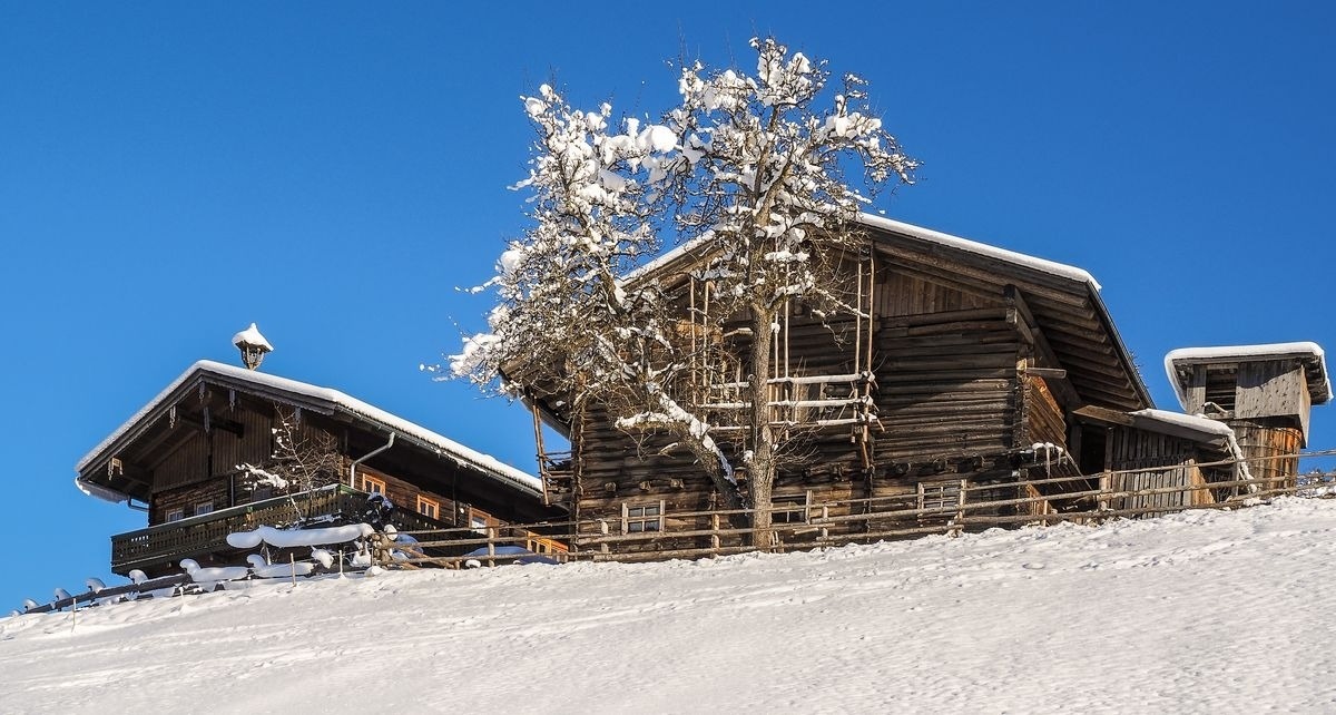 Chalet Naturblick am ZwisleggGut – Bild 4