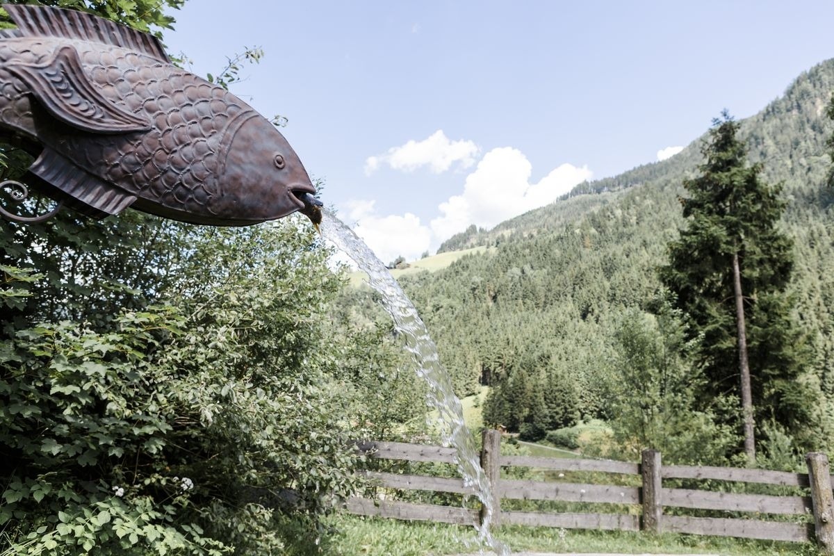 Chalet Wildberg — Foto 9