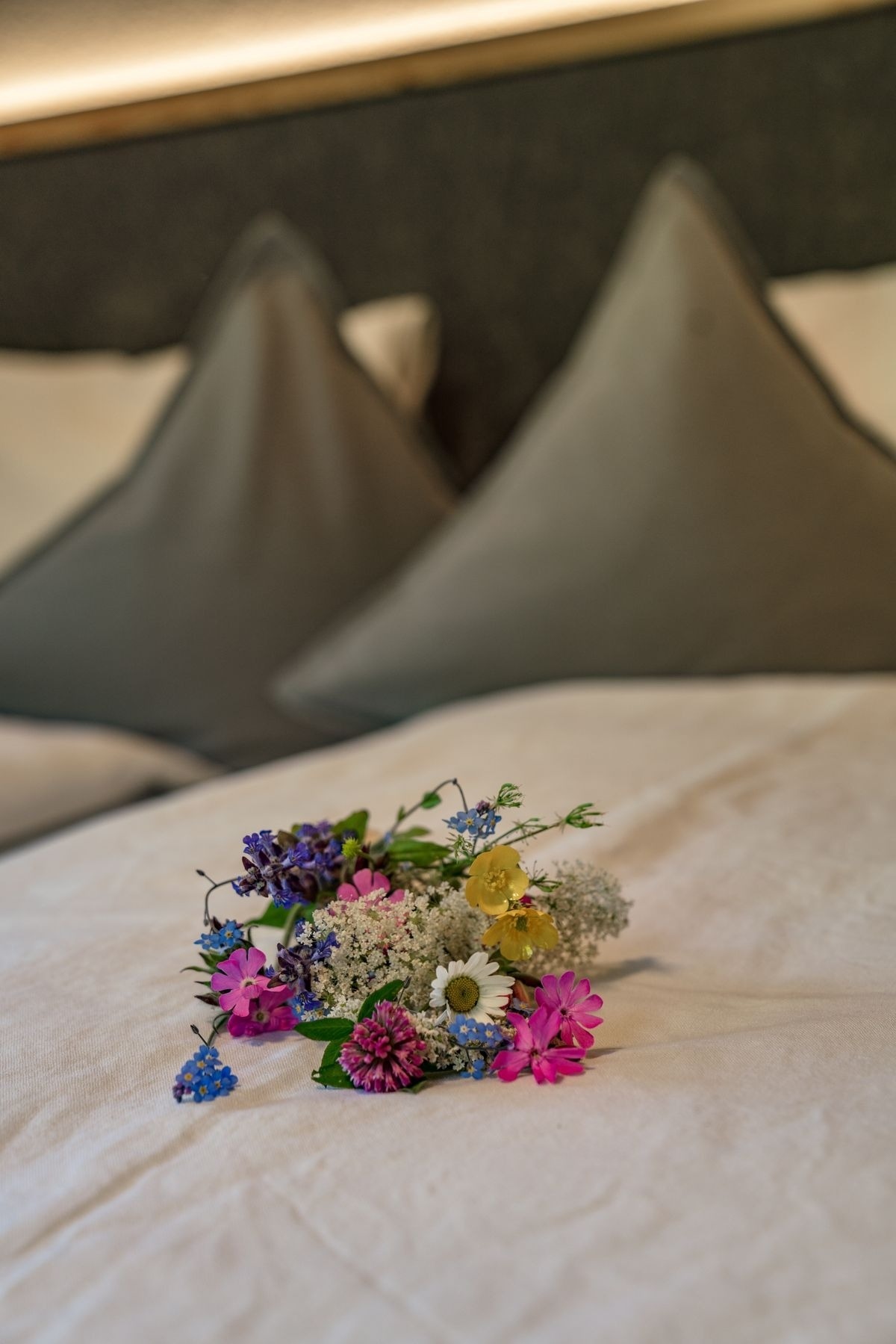 Druckfeichter Hütte — Foto 31