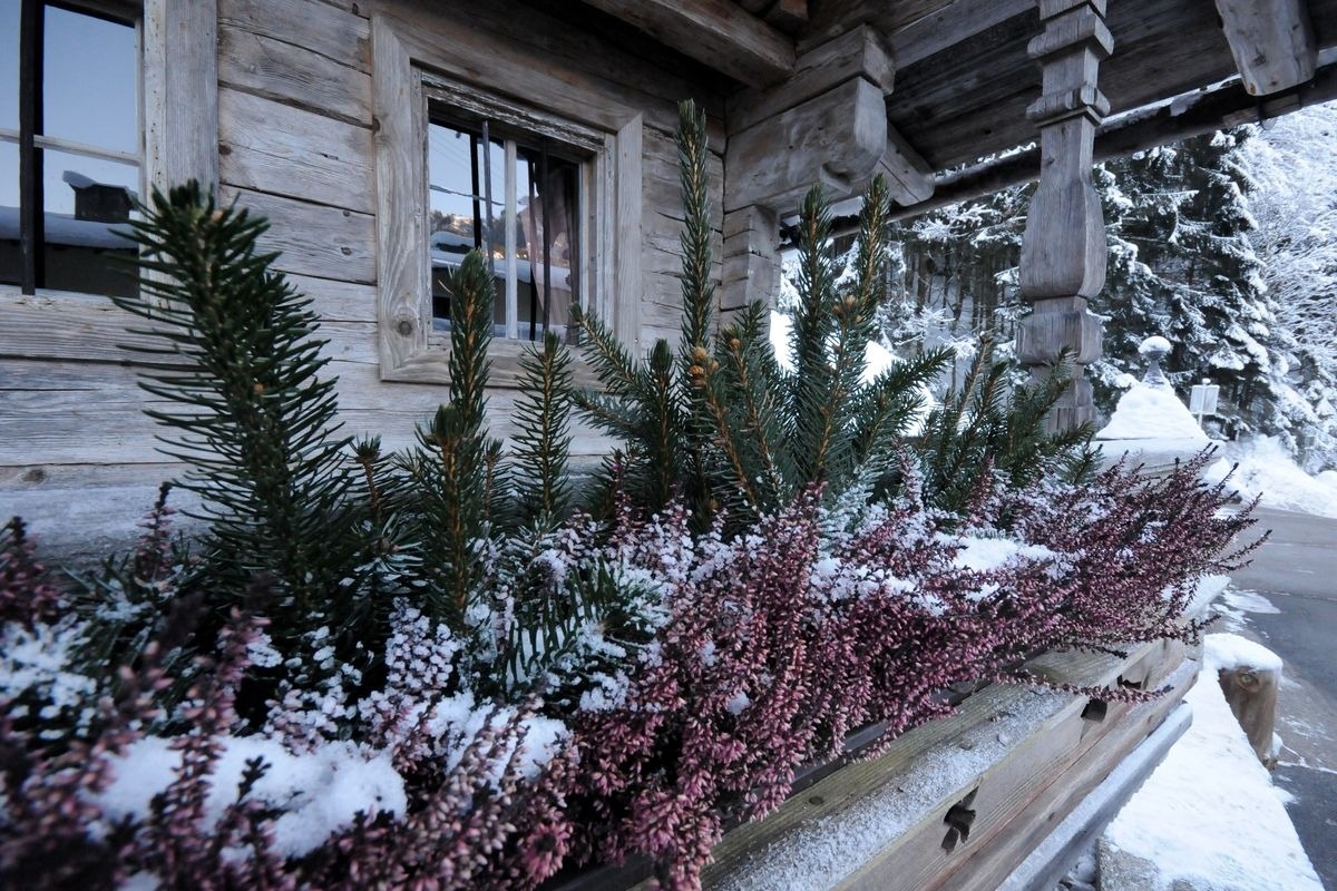 Forsthaus Daringer – Bild 11