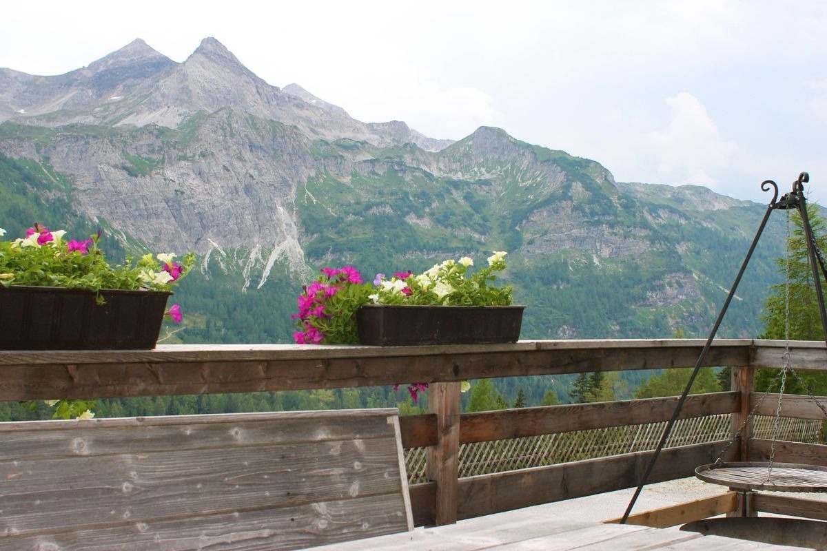 Gottschallalm – Bild 4