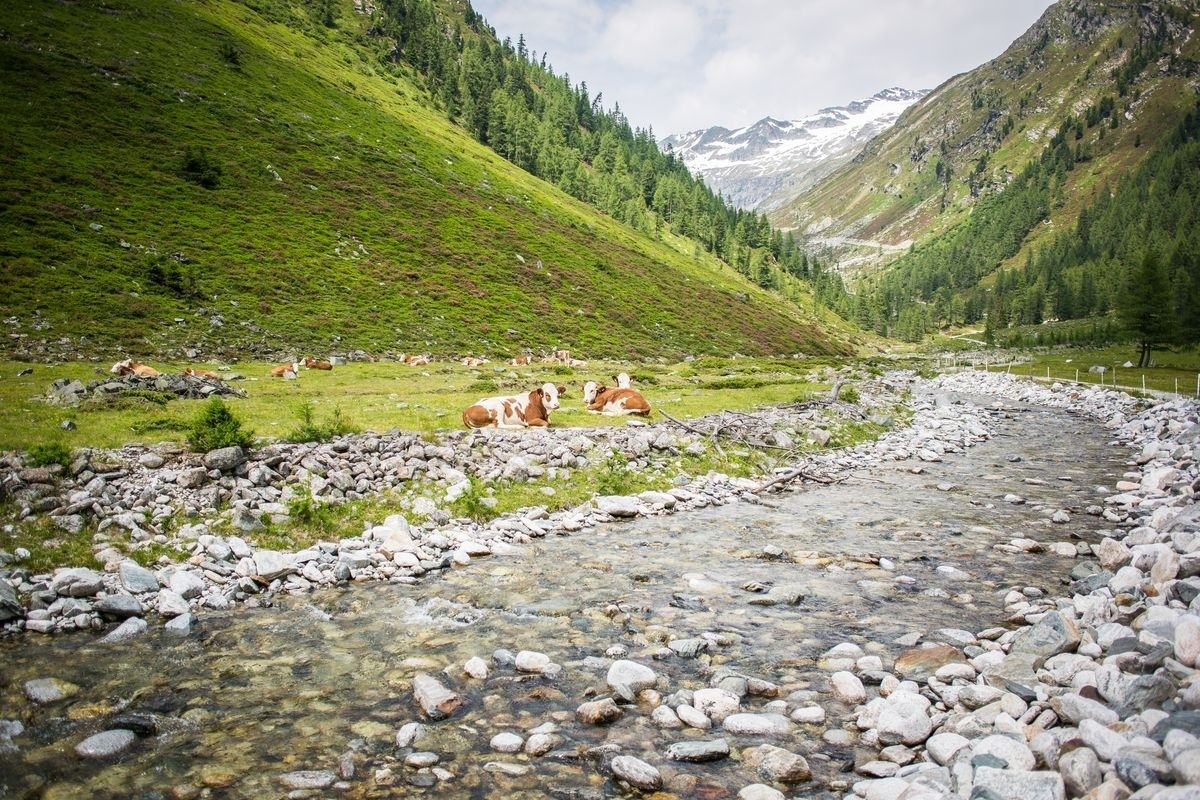 Landeckalm – Bild 22