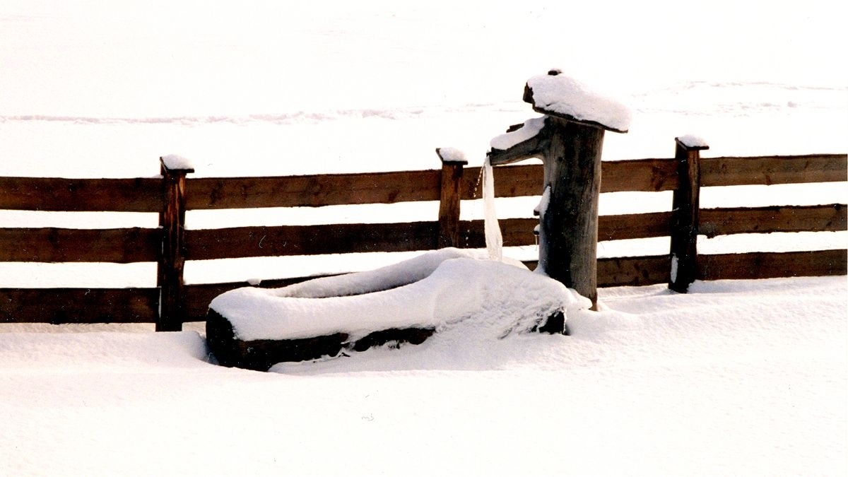 Urgemütliche Lennkhütte by FeWo-Plan – Bild 4