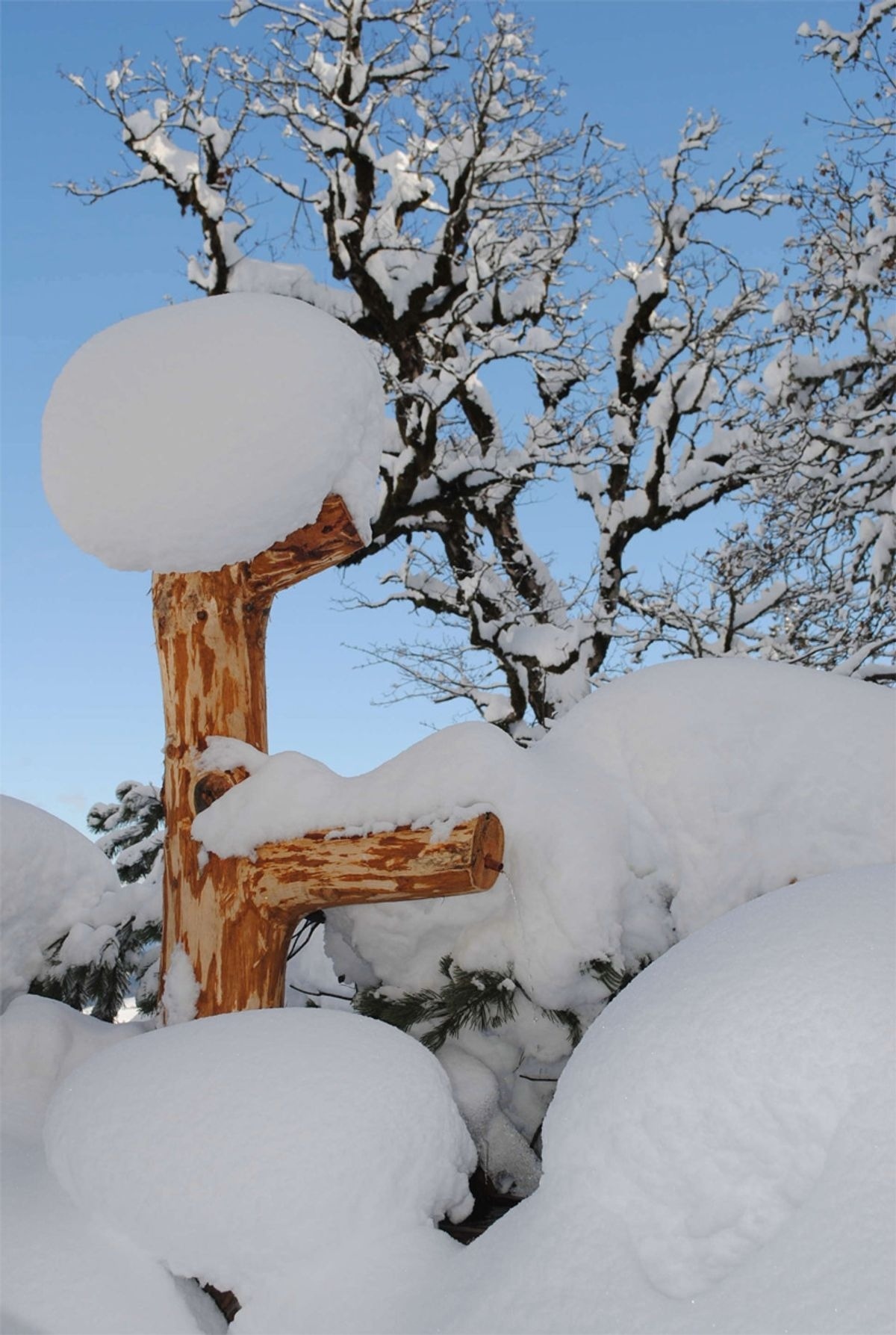 Loimoarhütte — Foto 13
