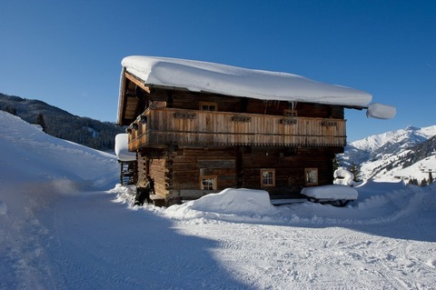 Radlehenhütte 2