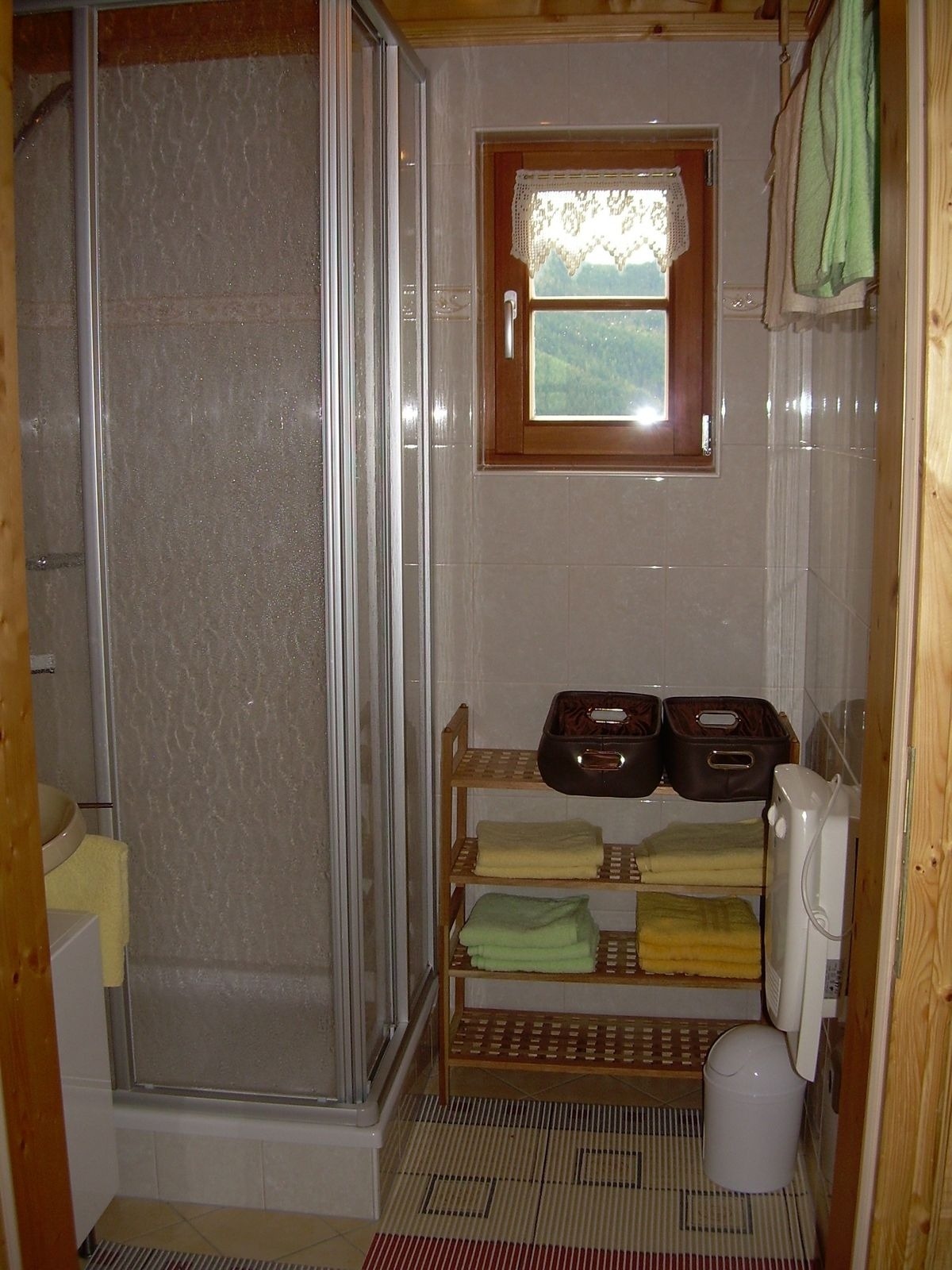 Rauchenbachalm – Bild 13