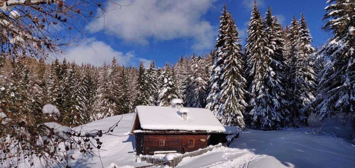 Reh's Wiesen Hütte – Bild 2