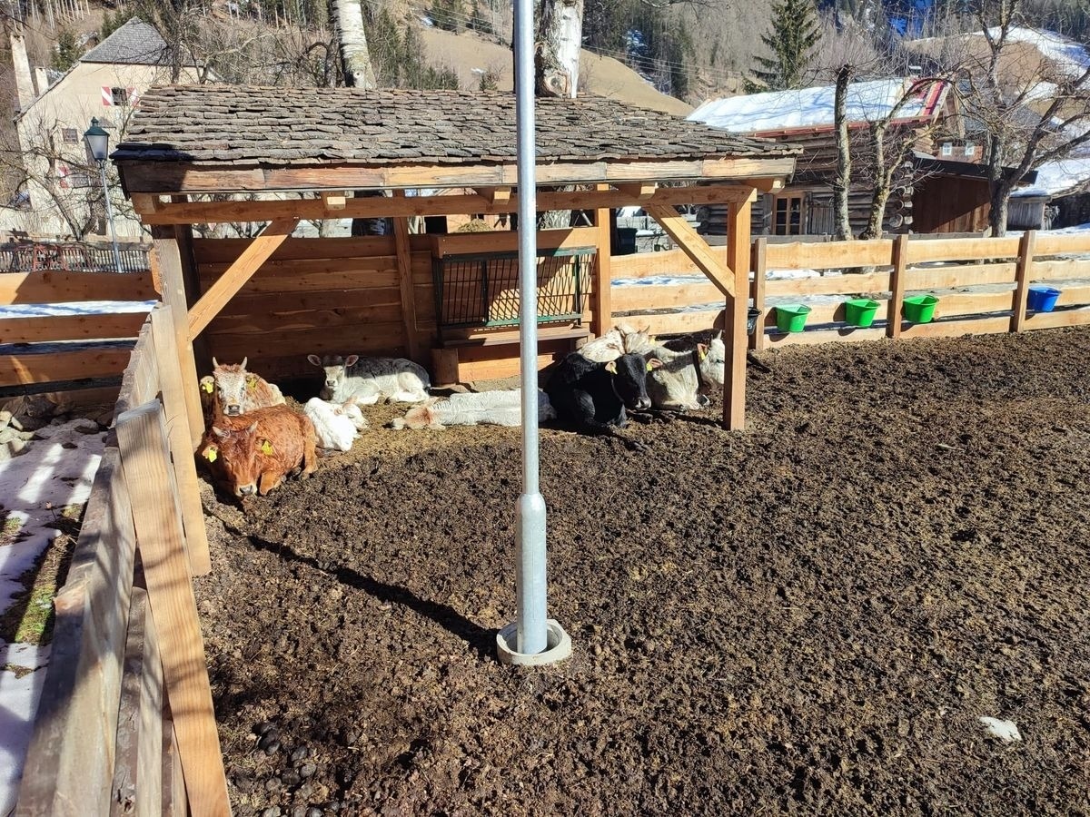 Schlosswirt Chalet II — Foto 18