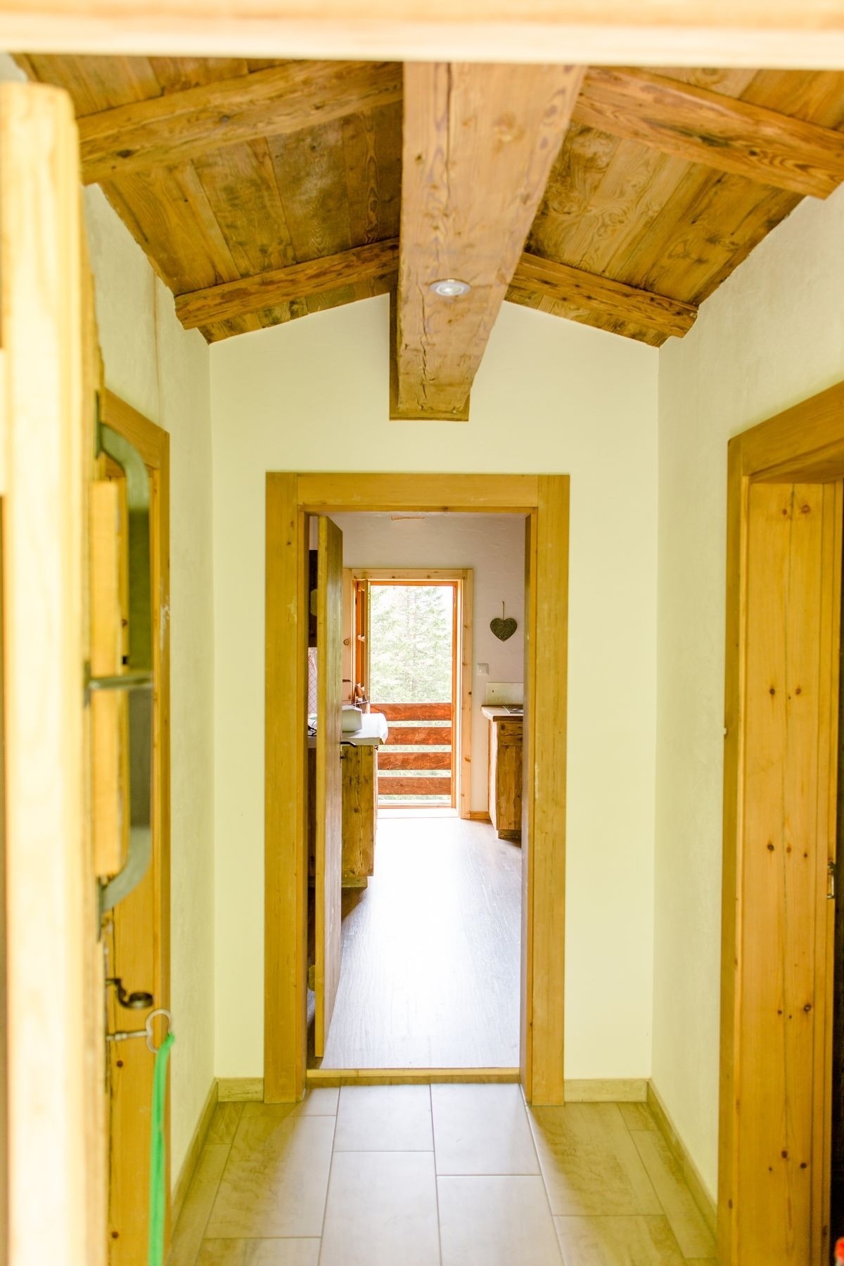 Tröglesalm — Foto 13