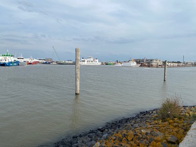 Foto 20 Ferienwohnung Ostfriesland Norddeich & Umgebung Ferienhaus Ankerweg an der Seehundstation Typ E (Objekt 92435) Reise