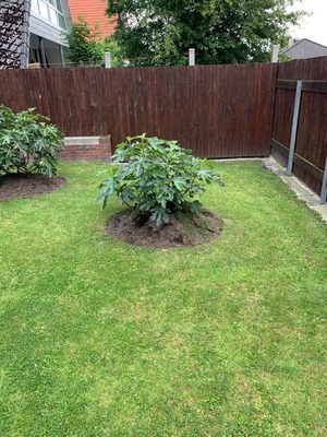 Foto 22 Ferienwohnung Ostfriesland Norddeich & Umgebung Ferienhaus Ankerweg an der Seehundstation Typ D (Objekt 92438) suchen