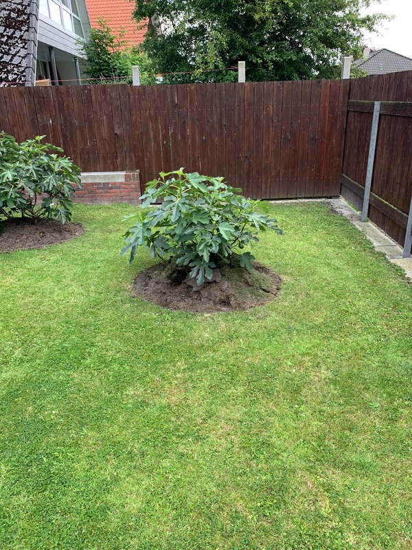 Foto 22 Ferienwohnung Ostfriesland Norddeich & Umgebung Ferienhaus Ankerweg an der Seehundstation Typ D (Objekt 92438) suchen