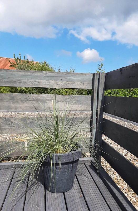 Foto 9 Ferienwohnung Ostfriesland Norddeich & Umgebung Tillmanns Stadtlounge (Objekt 85218) Urlaub