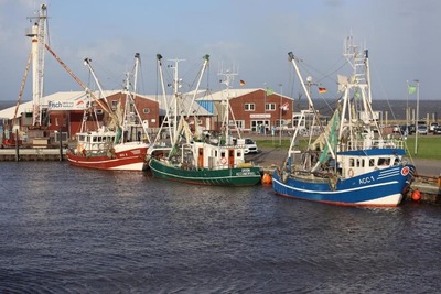 Foto 18 Ferienwohnung Ostfriesland Dornum & Umgebung Ostfresenstuv (Objekt 92351) Nordsee