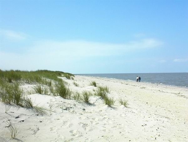 Foto 9 Ferienwohnung Ostfriesland Friesland Wohnung 26 (Objekt 95682) Urlaub