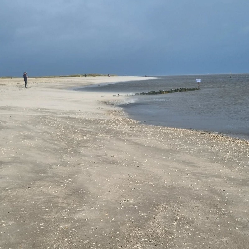 Foto 11 Ferienwohnung Ostfriesland Friesland Wohnung 18 (Objekt 95678) buchen