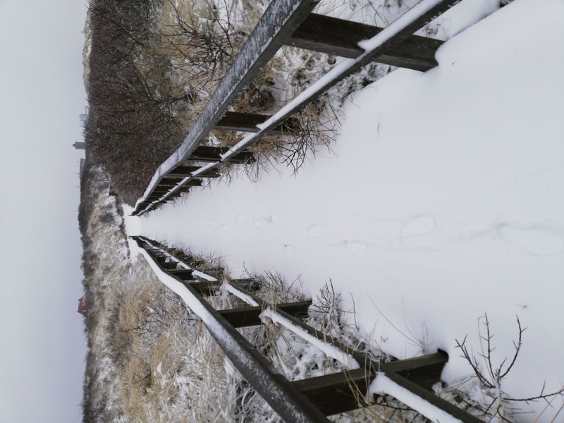 Foto 49 Ferienwohnung Ostfriesland Juist Turmwohnung 205 (Objekt 92345) Urlaub