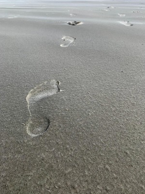 Foto 45 Ferienwohnung Ostfriesland Juist Appartement 107 (Objekt 92344) Reise