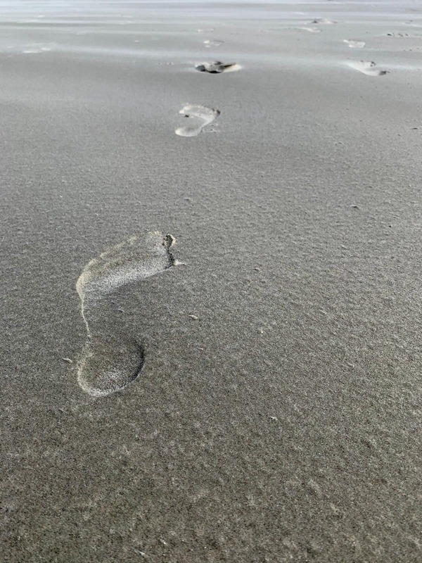 Foto 45 Ferienwohnung Ostfriesland Juist Appartement 107 (Objekt 92344) Reise