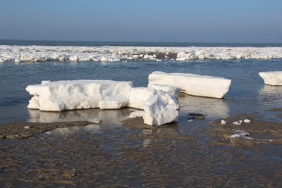 Foto 49 Ferienwohnung Ostfriesland Juist Appartement 107 (Objekt 92344) Urlaub