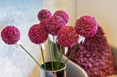 Foto 20 Ferienwohnung Ostfriesland Norddeich & Umgebung Ferienwohnung Meeresrauschen | Hilgenriedersiel Nordsee (Objekt 103507) Reise