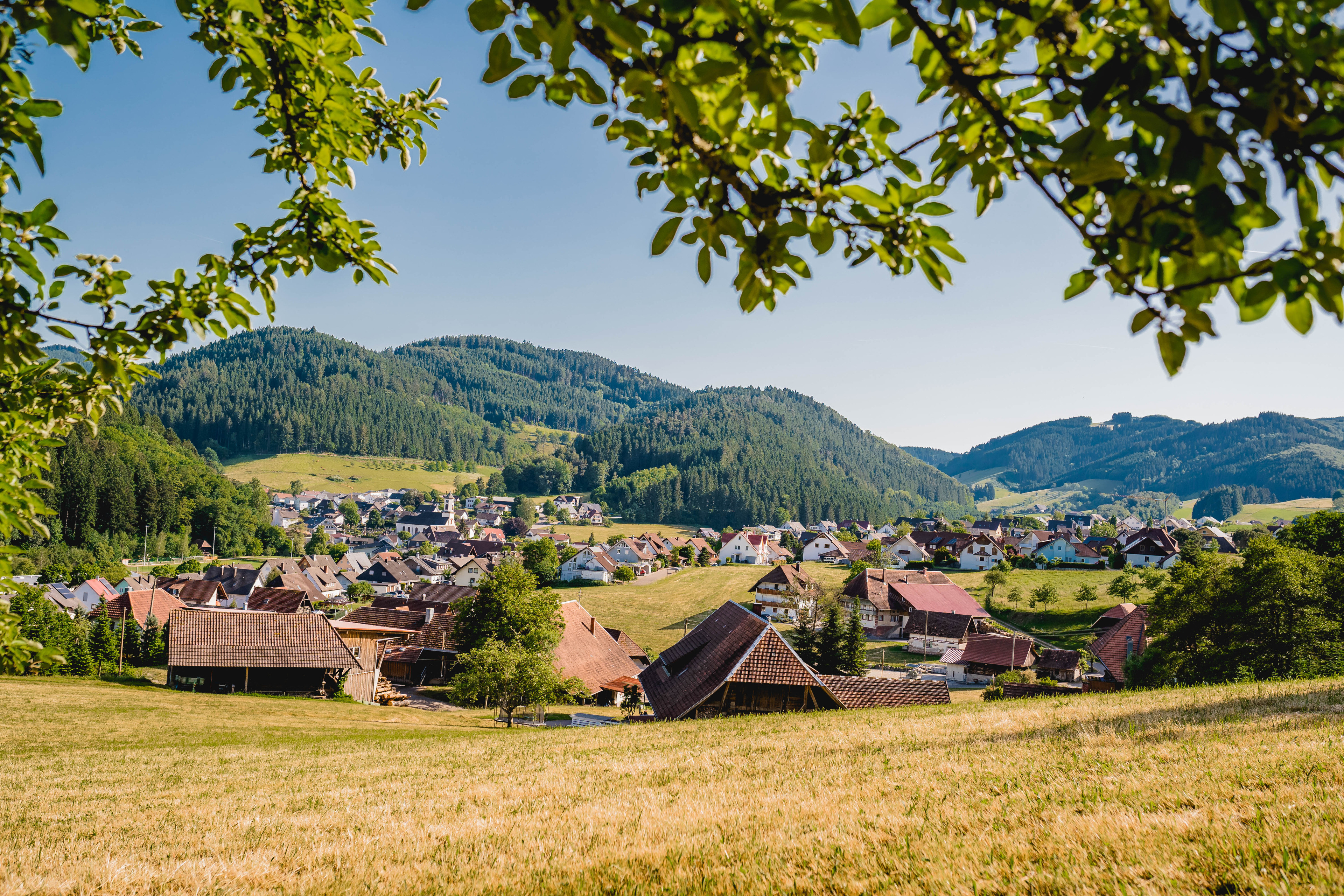 Großes, modernes und ansprechendes Ferienhaus KINAST (HOST112) by FeWo-PLAN im Herzen des Schwarzwaldes – Bild 49