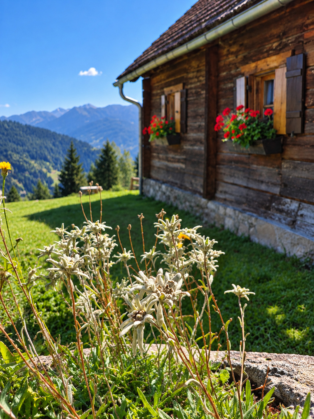 StanzerHütte – Traumhafte Alleinlage auf 1450m mit Panoramablick bis 6 Personen (STEI111) – Bild 27