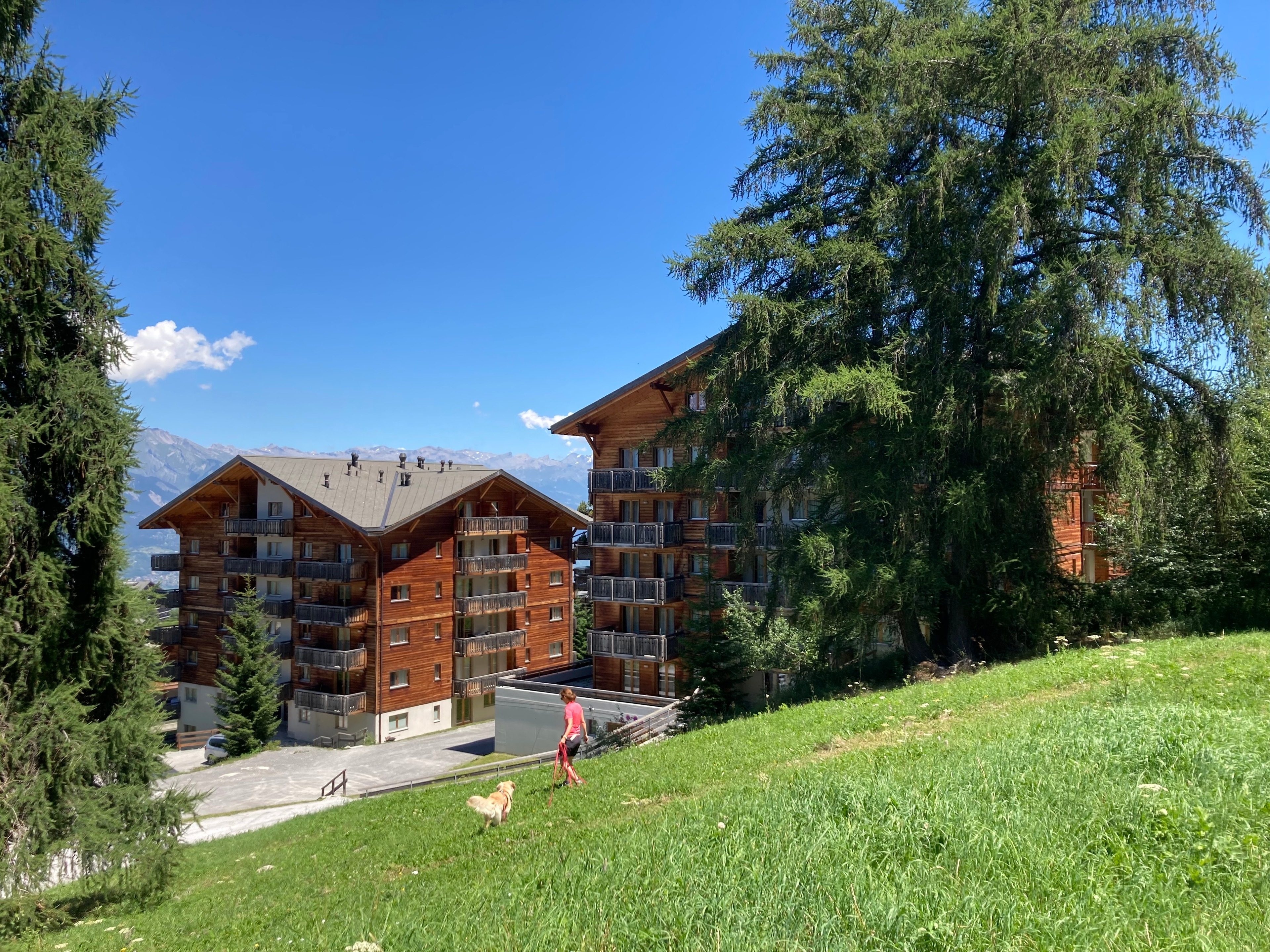 Wohnung ATTELAS (NEND199) Ski in and Ski out – Bild 2