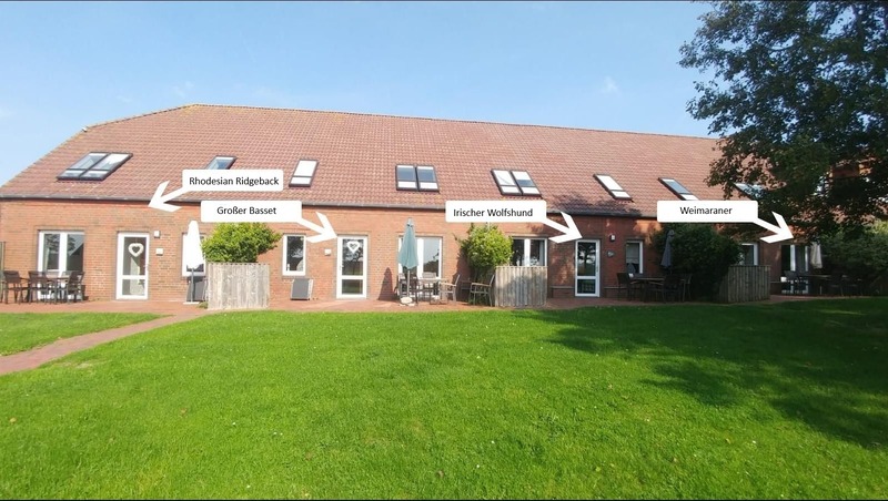 Foto 11 Ferienwohnung Ostfriesland Norddeich & Umgebung Ferienwohnung Irischer Wolfshund (Objekt 108215) buchen