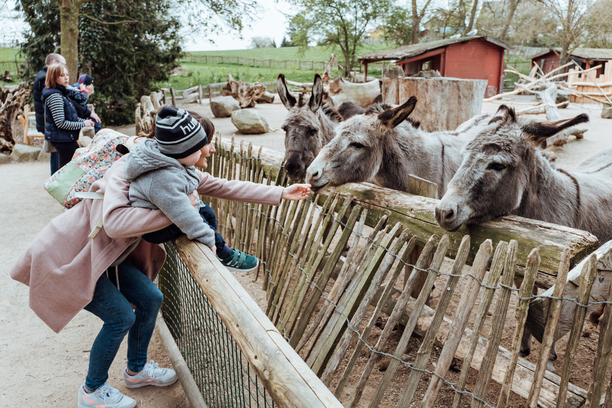 Zoo Arche Noah