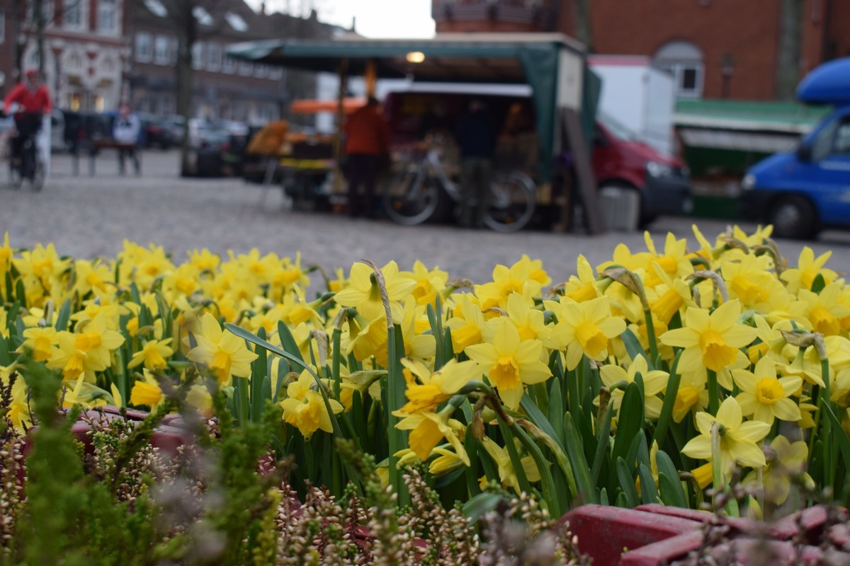 Weekly market Fehmarn