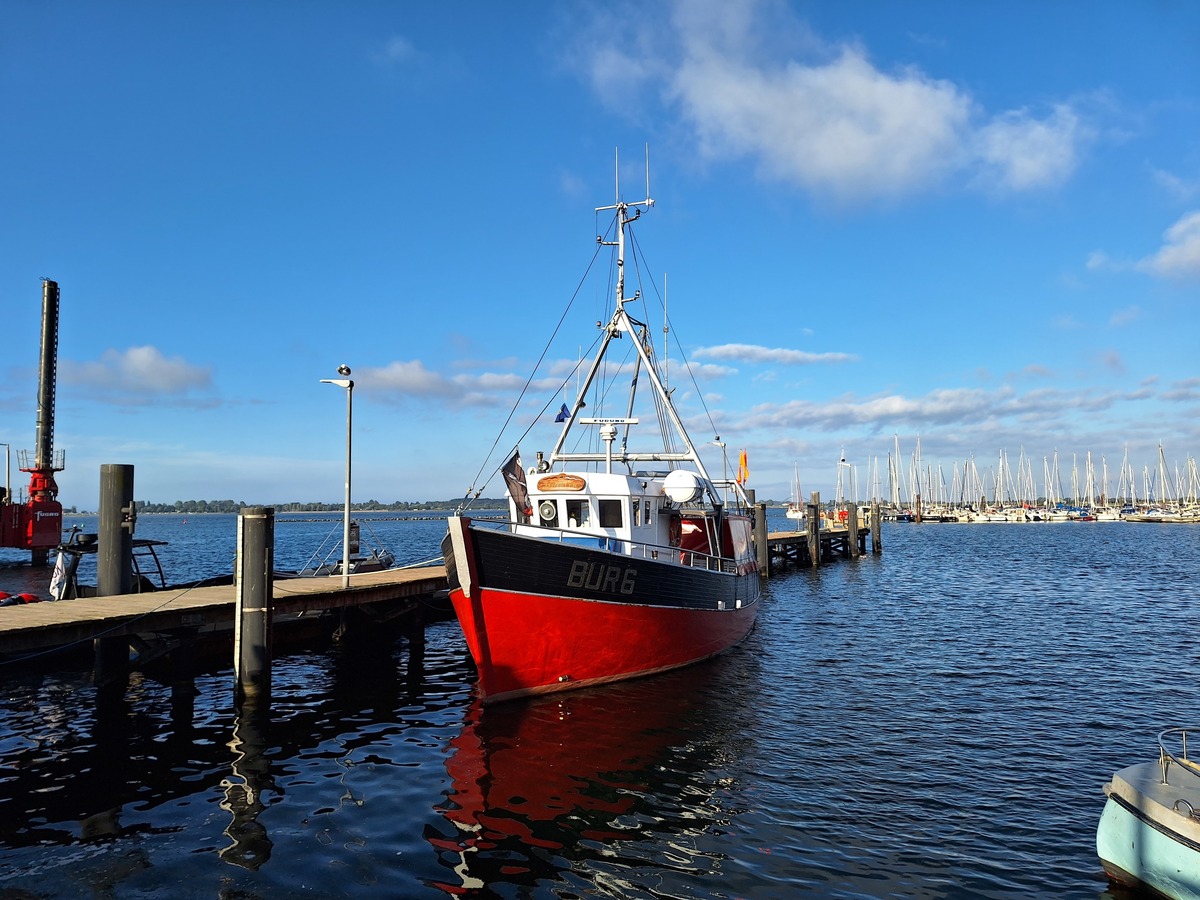 Fischkutter Tümmler