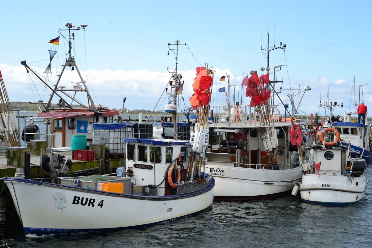 Harbour Burgstaaken on Fehmarn