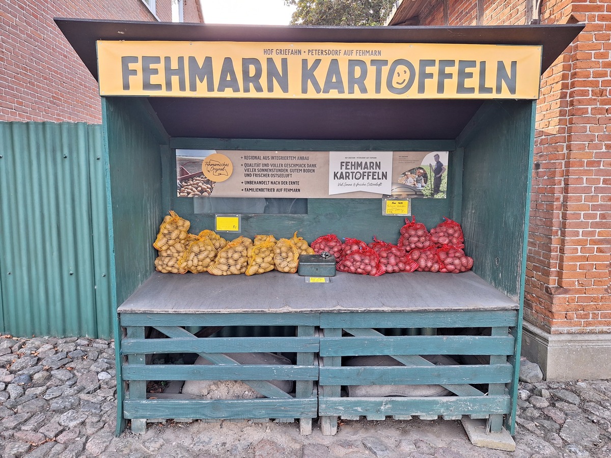 Fehmarn Kartoffeln