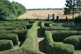 &Auml;hrensuche im Heckenlabyrinth