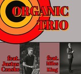 Konzert mit dem "Henri Jerratsch Organic Trio"